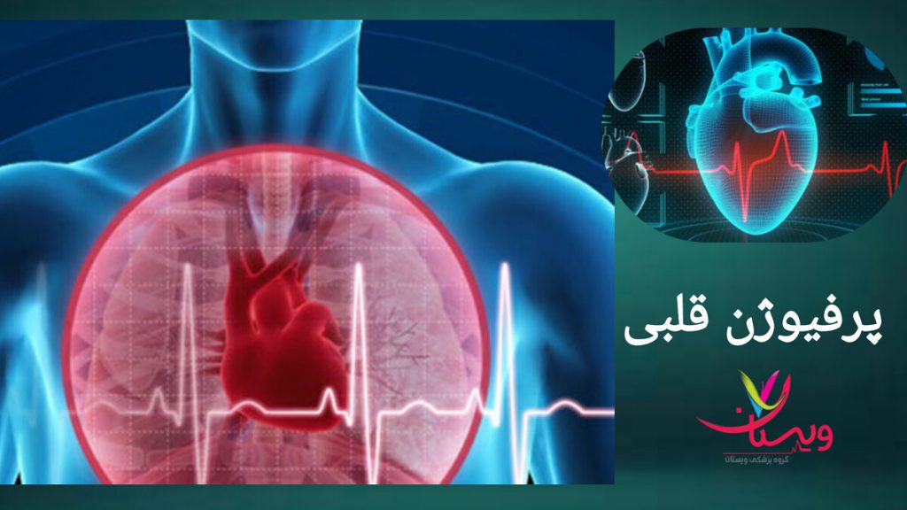 تصویری از قلب انسان