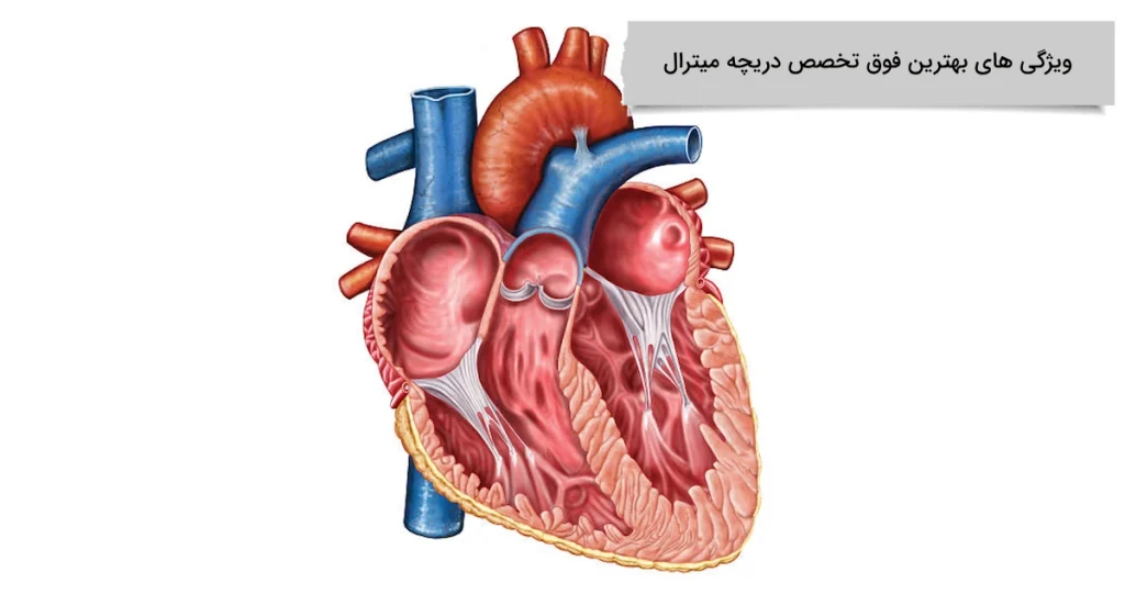 ویژگی های بهترین فوق تخصص دریچه میترال ویژگی های بهترین فوق تخصص دریچه میترال قلب چیست