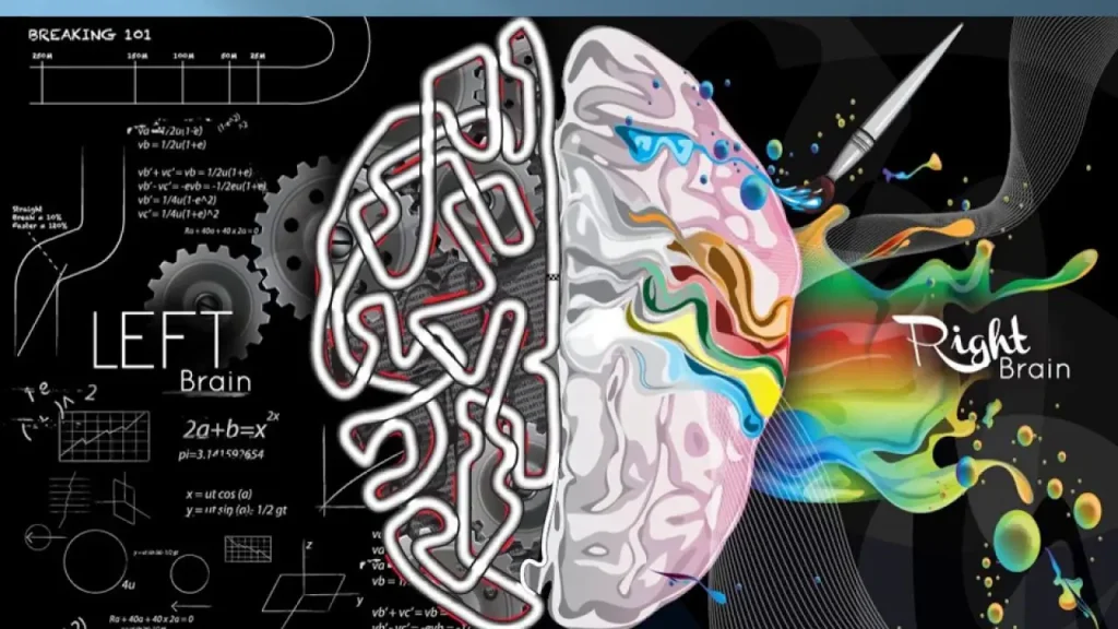 تاثیر نقشه مغزی در درمان نقش qEEG در بررسی امواج مغزی بیماران دوقطبی