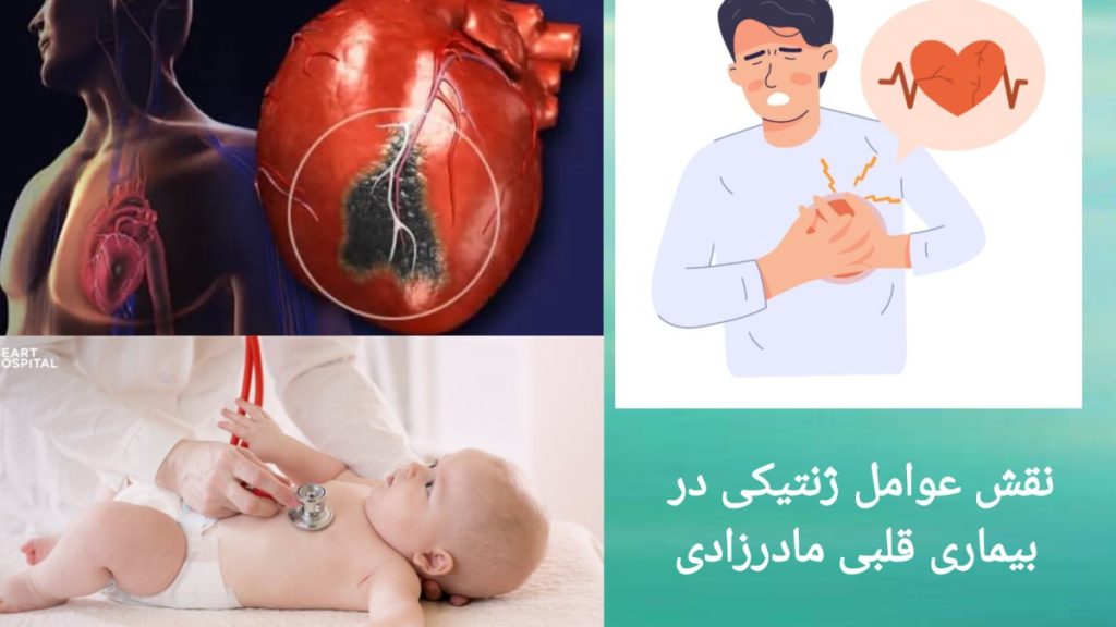 تاثیر ژنتیک بر بیماری قلبی مادرزادی ارتباط ژنتیک با بیماری های قلبی مادرزادی
