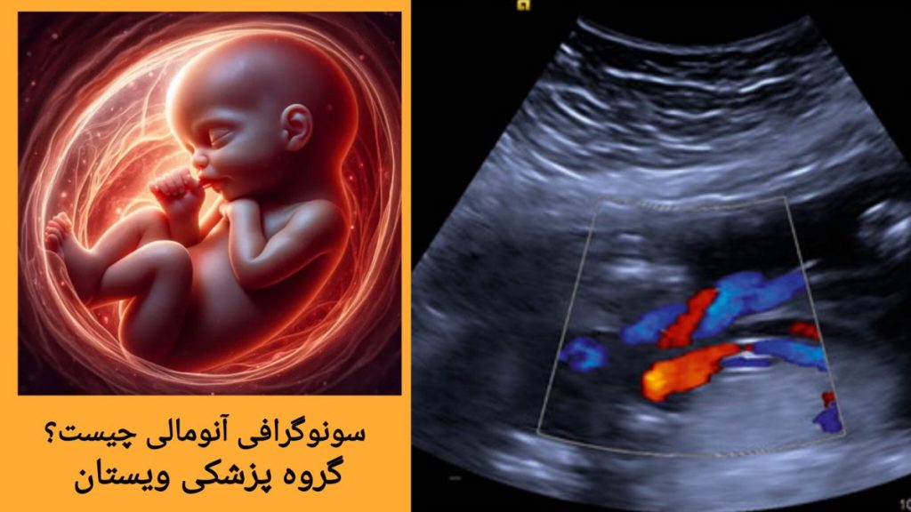سونوگرافی آنومالی در دوران بارداری بررسی رشد و سلامت جنین در سونوگرافی آنومالی